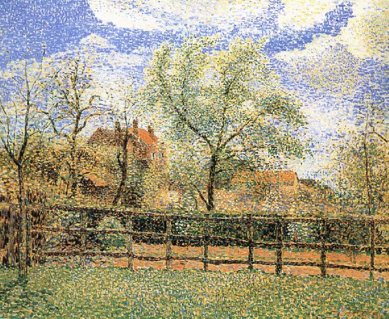 Camille Pissarro Pear trees bloom in the morning Norge oil painting art
